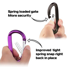 10 PCS D-RING ALUMINIUM CARBINER SET