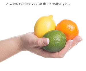 H20 650ML WATER BOTTLE AND FRUIT INFUSER