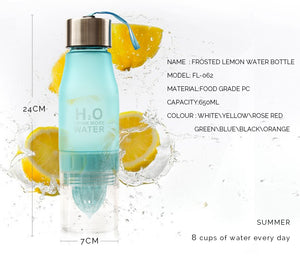 H20 650ML WATER BOTTLE AND FRUIT INFUSER